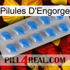 Engorge Pills 22